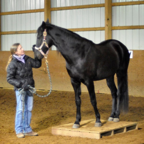 mary-on-the-platform