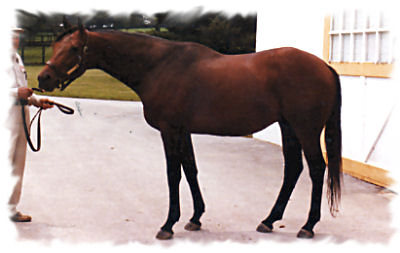 Private Account Private Account