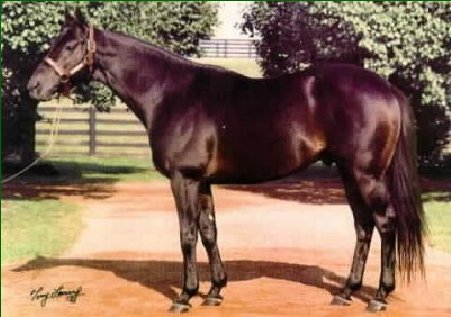 Secret Hello Secret Hello