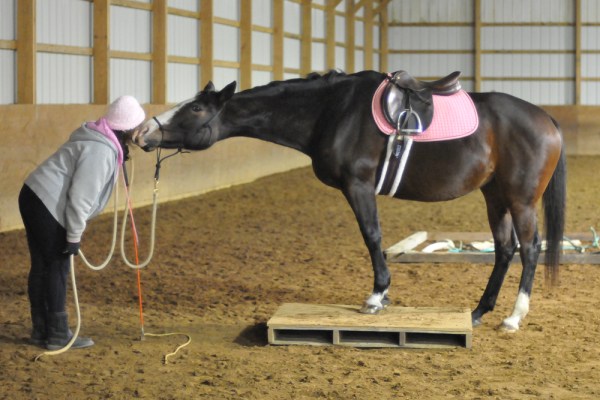 tuesday-on-the-platform