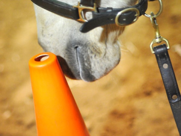 JR targeting a traffic cone