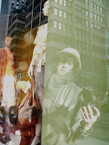 Holly melts into the city