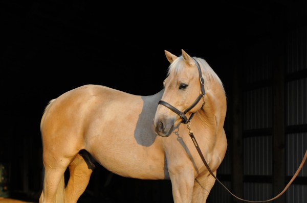 Portrait of JR, by Danielle