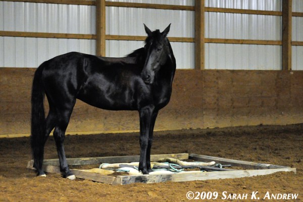 Mary in the Snake Pit