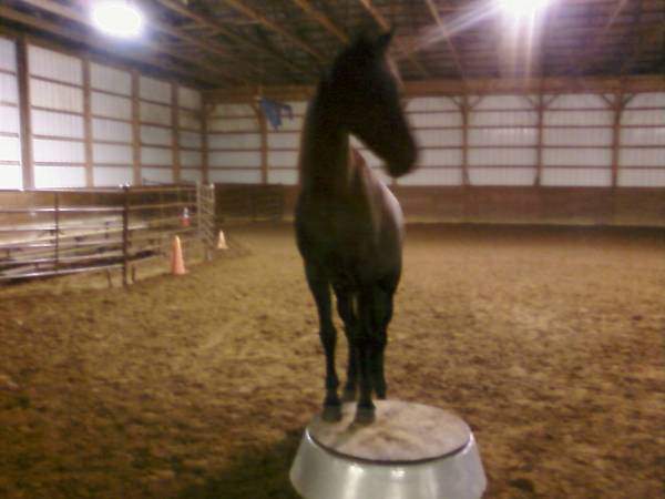 Mary on the Pedestal (taken by a camera phone) Mary on the Pedestal (taken by a camera phone)