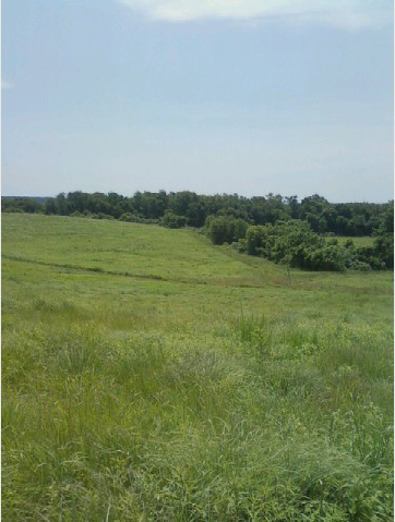 The Bowling Pin Field
